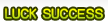 Luck success holdings ltd.