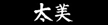 东莞太美鞋业有限公司